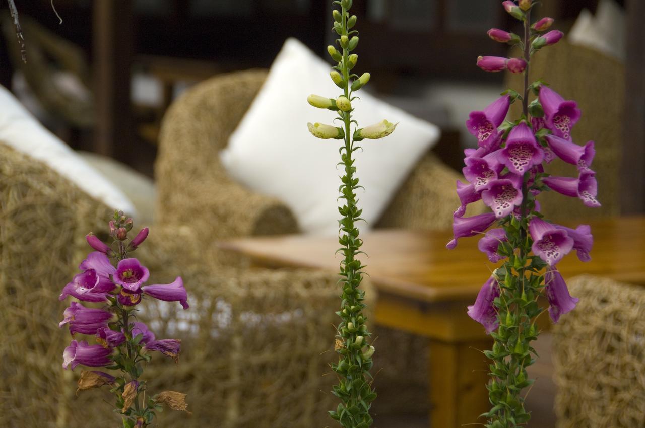 Flower Free花自在 Zhoulan Exterior foto